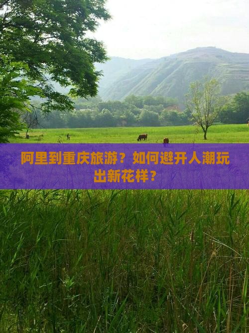 阿里到重庆旅游
