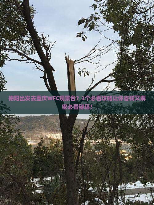 德阳到重庆wfc观景台必去地