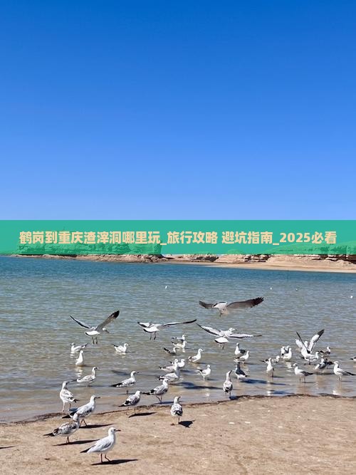 鹤岗到重庆渣滓洞哪里玩