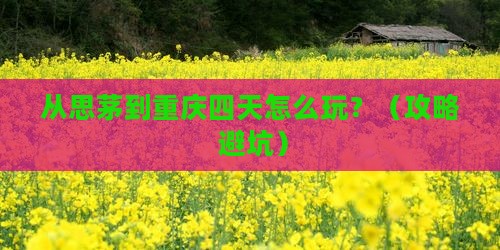 思茅去重庆四日游