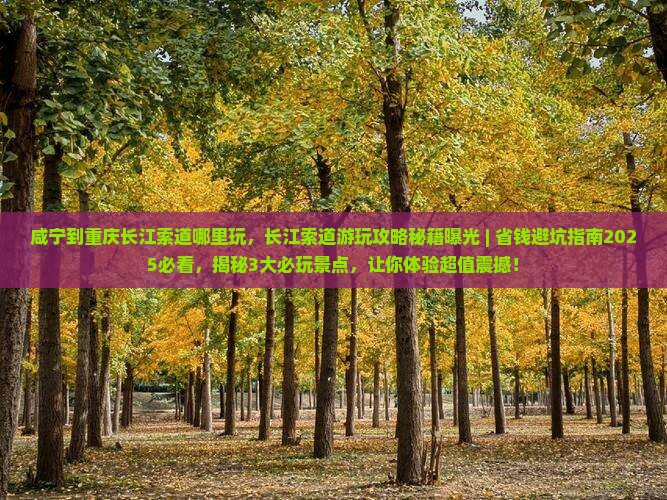 咸宁到重庆长江索道哪里玩