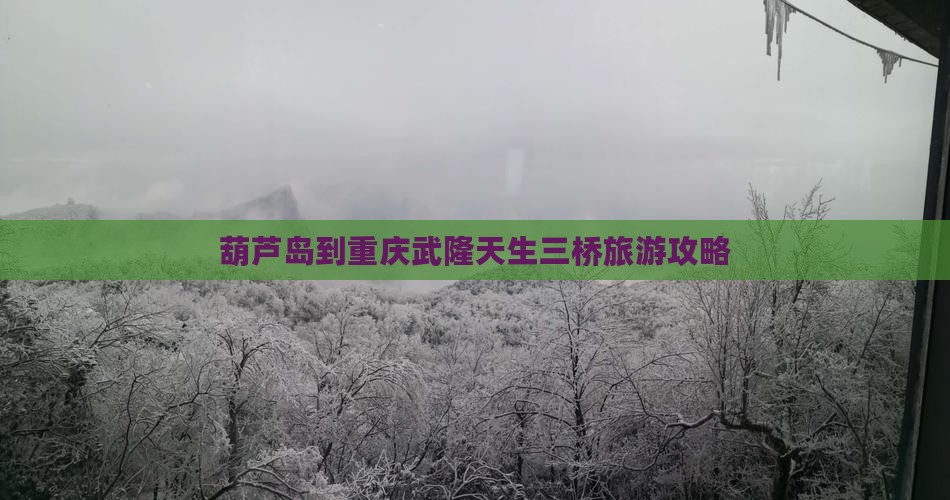 葫芦岛到重庆武隆天生三桥门票