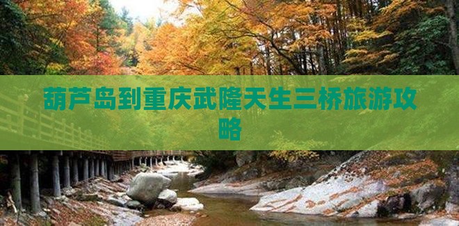 葫芦岛到重庆武隆天生三桥门票
