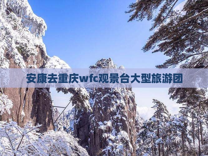 安康去重庆wfc观景台大型旅游团