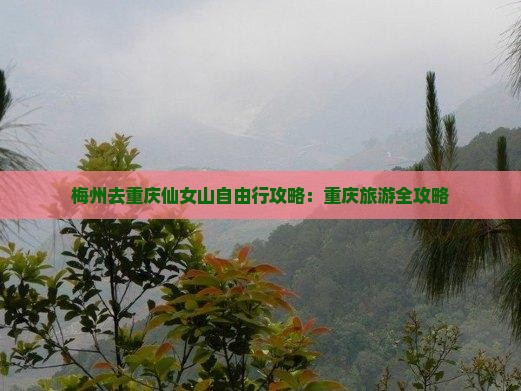 梅州去重庆仙女山自由行