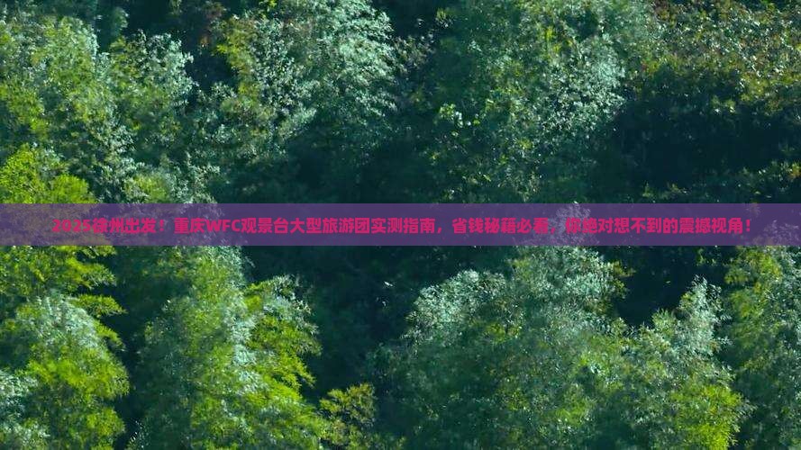 徐州到重庆wfc观景台大型旅游团