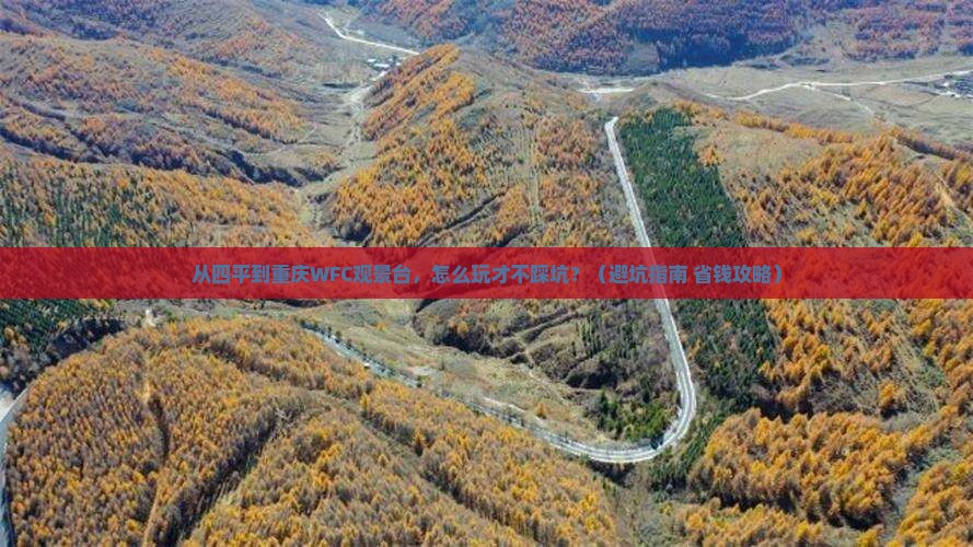四平到重庆wfc观景台哪里玩