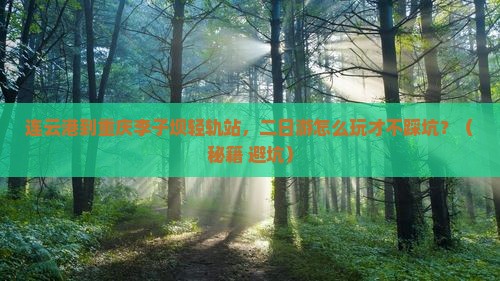 连云港到重庆李子坝轻轨站二日游
