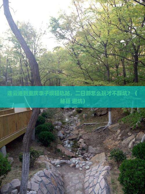 连云港到重庆李子坝轻轨站二日游
