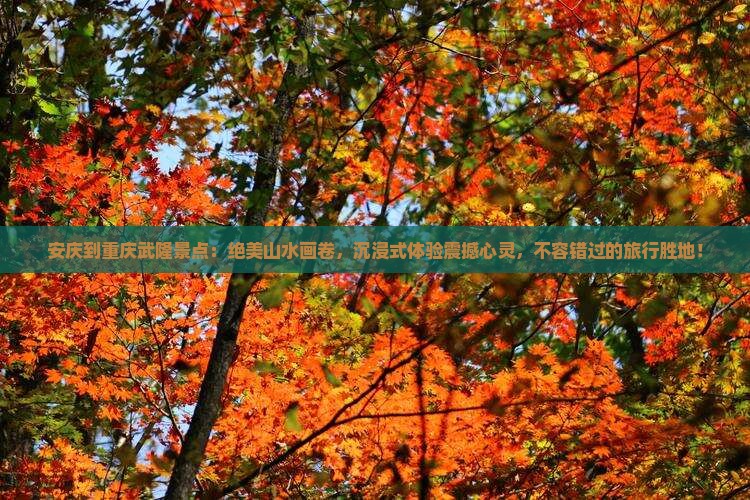 安庆到重庆武隆景点