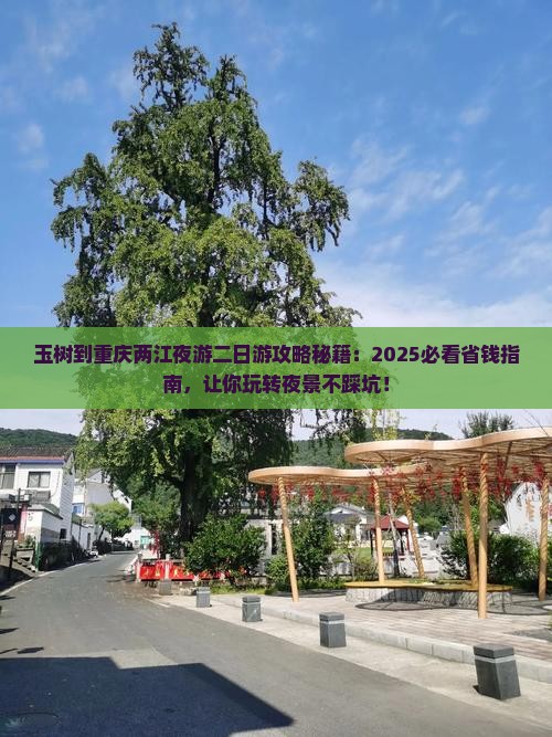 玉树去重庆两江夜游二日游