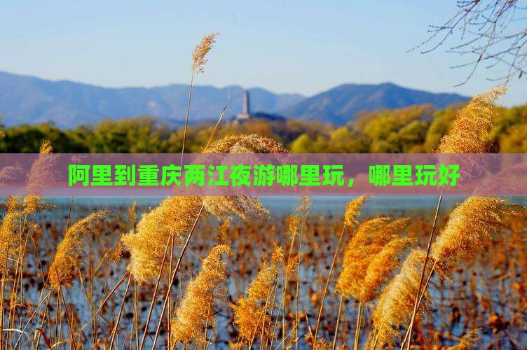 阿里到重庆两江夜游哪里玩