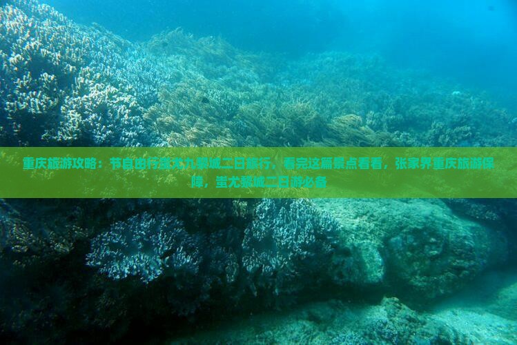 国庆节去重庆蚩尤九黎城二日游