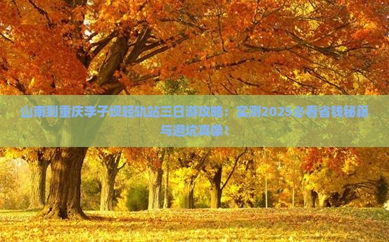 山南到重庆李子坝轻轨站三日游