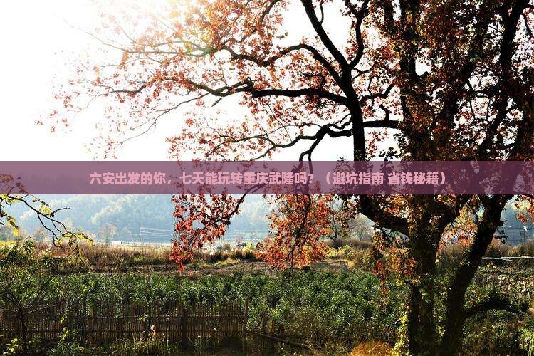 六安到重庆武隆七日游