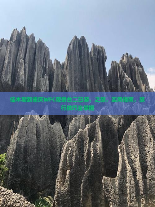 佳木斯到重庆wfc观景台二日游