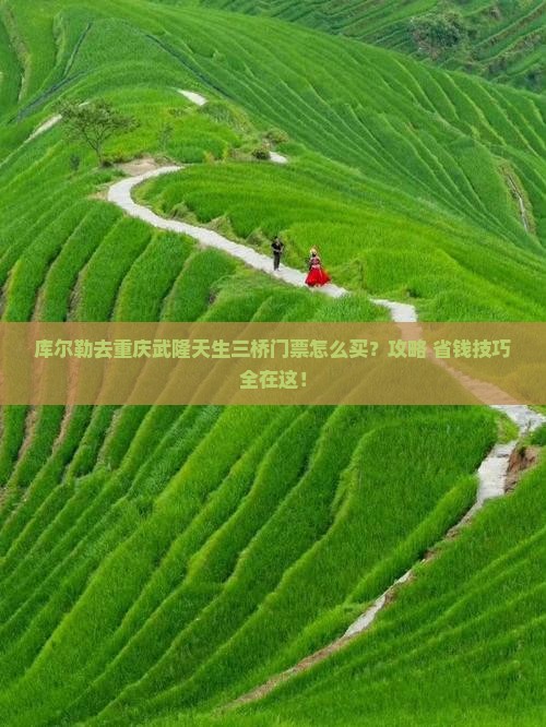库尔勒去重庆武隆天生三桥门票