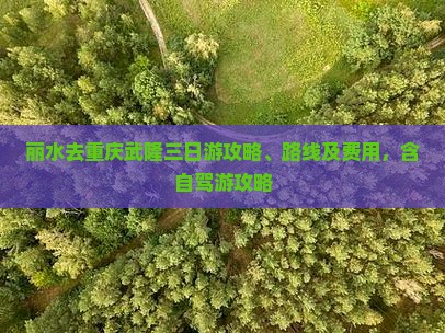 丽水去重庆武隆三日游