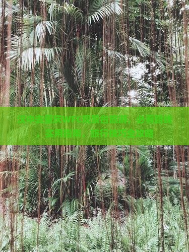 汉中去重庆wfc观景台旅游