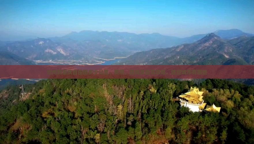沧州到重庆自由团