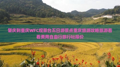 肇庆到重庆WFC观景台五日游景点重庆旅游攻略旅游看看费用自由行旅行社报价