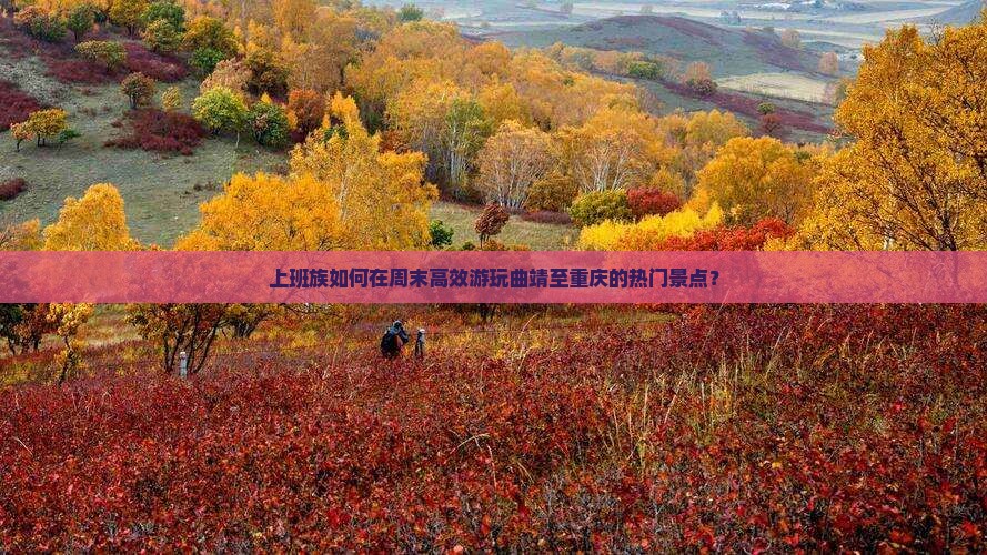 上班族如何在周末高效游玩曲靖至重庆的热门景点？