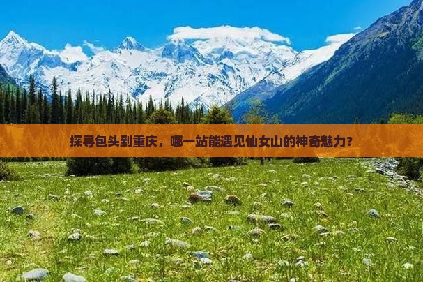 探寻包头到重庆，哪一站能遇见仙女山的神奇魅力？