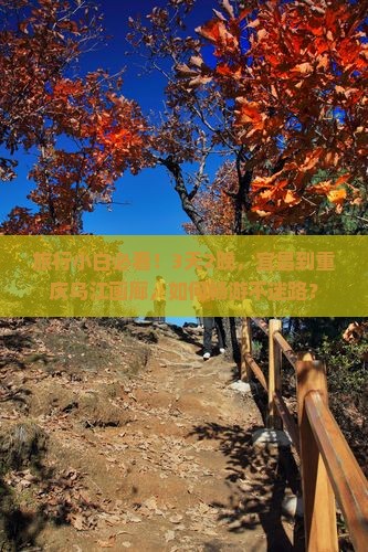 旅行小白必看！3天2晚，宜昌到重庆乌江画廊，如何畅游不迷路？