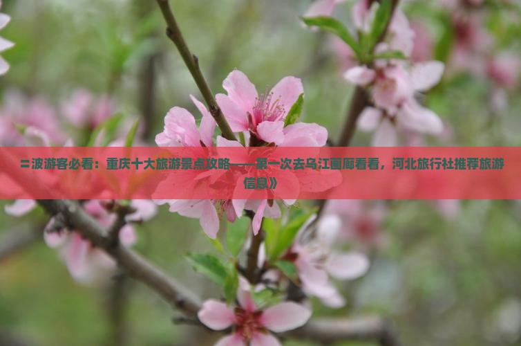 〓波游客必看：重庆十大旅游景点攻略——第一次去乌江画廊看看，河北旅行社推荐旅游信息》