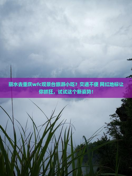 丽水去重庆wfc观景台旅游小吃？交通不便+网红地标让你抓狂，试试这个新姿势！