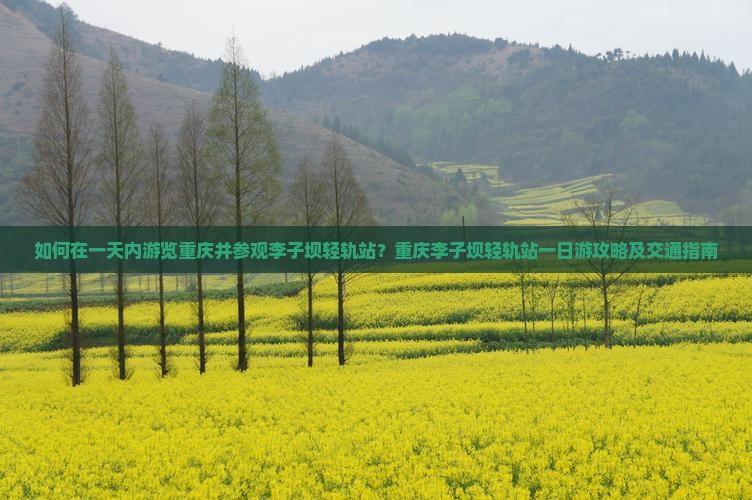 如何在一天内游览重庆并参观李子坝轻轨站？重庆李子坝轻轨站一日游攻略及交通指南