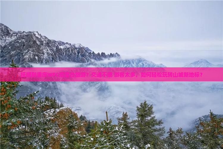 抚顺到重庆WFC观景台旅游？交通不便+游客太多，如何轻松玩转山城新地标？