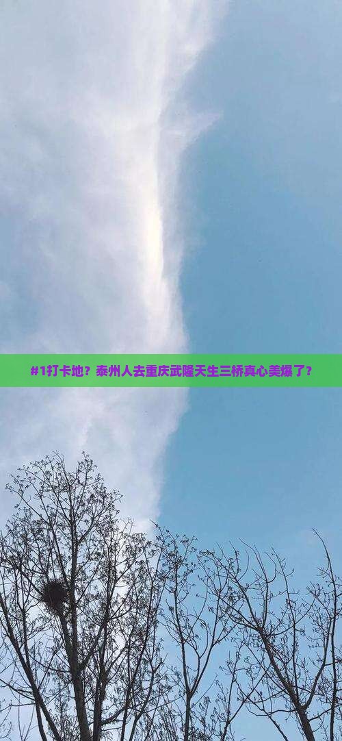 #1打卡地？泰州人去重庆武隆天生三桥真心美爆了？