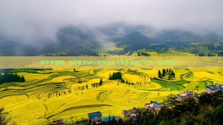端午节期间，为何重庆WFC观景台成为游客必去打卡地？其独特魅力！