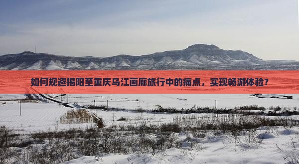如何规避揭阳至重庆乌江画廊旅行中的痛点，实现畅游体验？