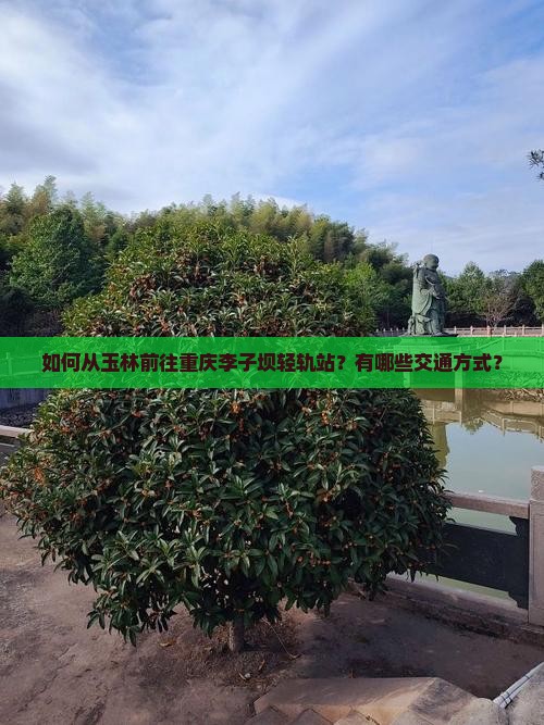 如何从玉林前往重庆李子坝轻轨站？有哪些交通方式？