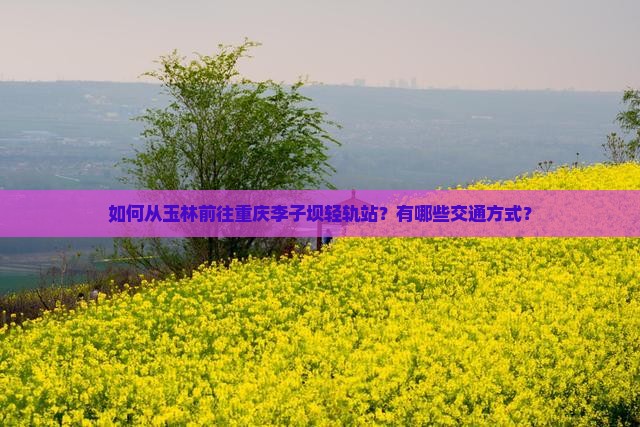 如何从玉林前往重庆李子坝轻轨站？有哪些交通方式？