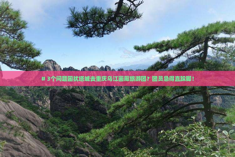 # 3个问题困扰塔城去重庆乌江画廊旅游团？团员急得直跺脚！