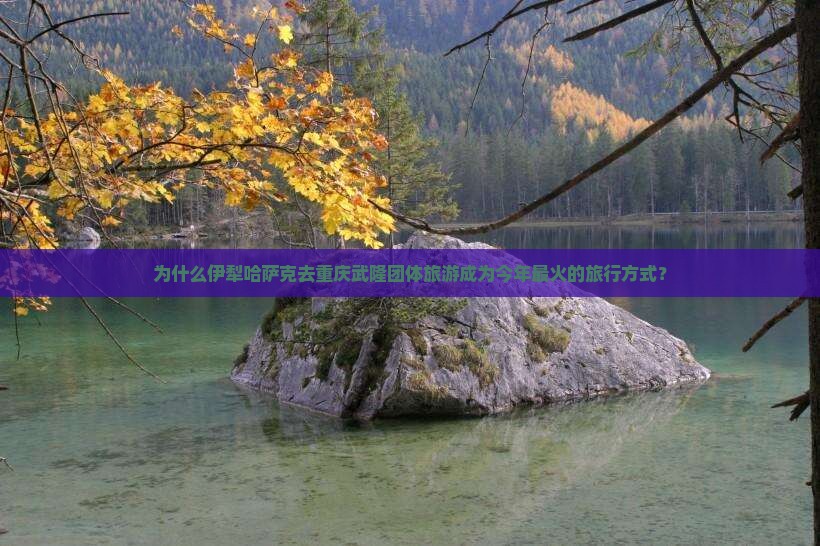 为什么伊犁哈萨克去重庆武隆团体旅游成为今年最火的旅行方式？