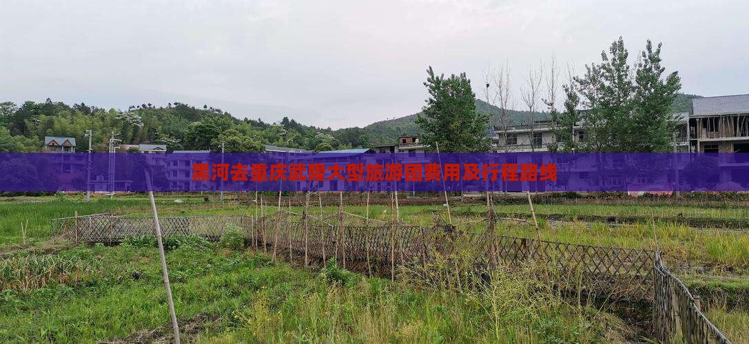 黑河去重庆武隆大型旅游团费用及行程路线