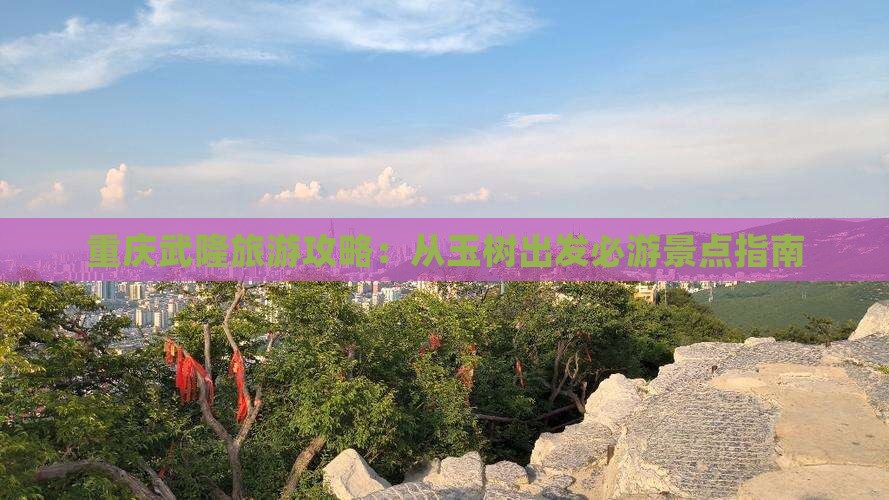 重庆武隆旅游攻略：从玉树出发必游景点指南