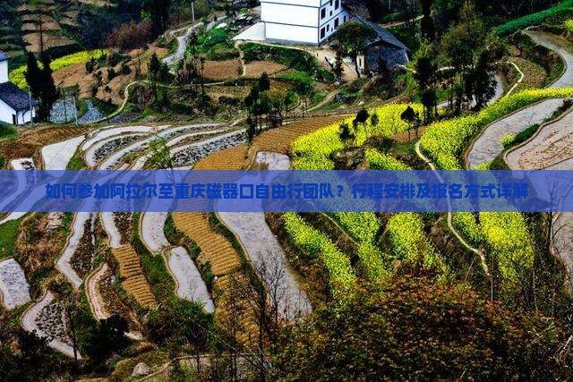 如何参加阿拉尔至重庆磁器口自由行团队？行程安排及报名方式详解