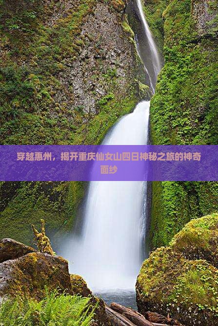 穿越惠州，揭开重庆仙女山四日神秘之旅的神奇面纱