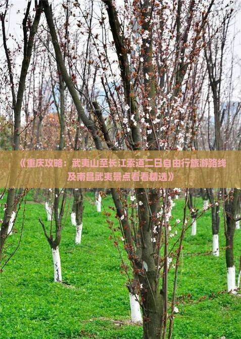 《重庆攻略：武夷山至长江索道二日自由行旅游路线及南昌武夷景点看看精选》