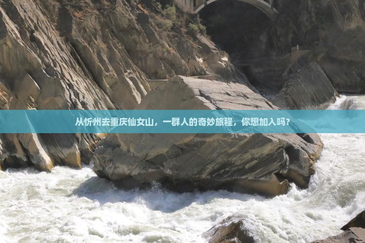 从忻州去重庆仙女山，一群人的奇妙旅程，你想加入吗？