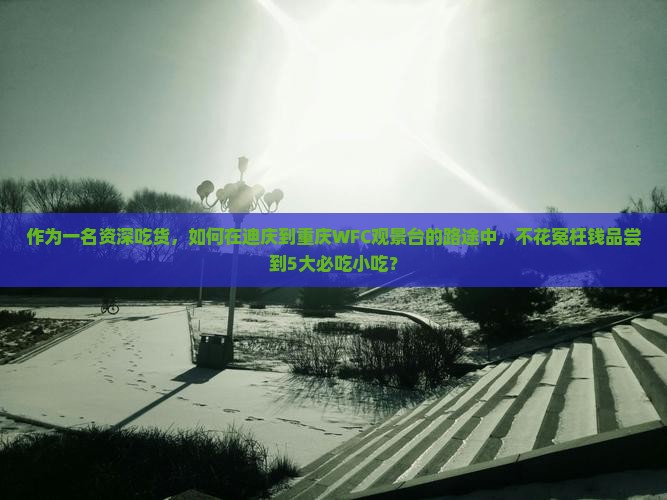 作为一名资深吃货，如何在迪庆到重庆WFC观景台的路途中，不花冤枉钱品尝到5大必吃小吃？