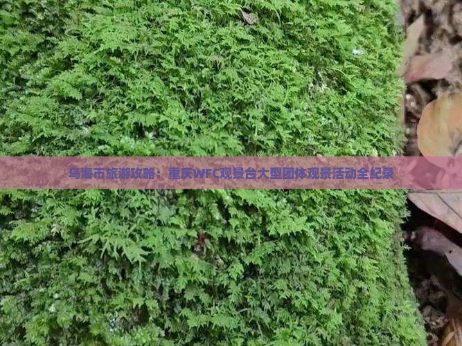 乌海市旅游攻略：重庆WFC观景台大型团体观景活动全纪录