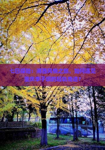 七日探险：湘西风情之旅，如何遇见重庆李子坝的轻轨奇迹？