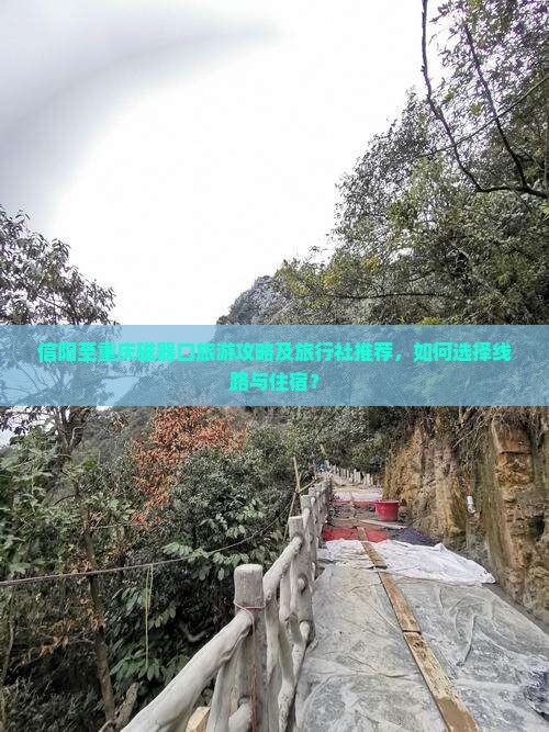 信阳至重庆磁器口旅游攻略及旅行社推荐，如何选择线路与住宿？