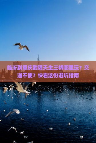 临沂到重庆武隆天生三桥哪里玩？交通不便？快看这份避坑指南
